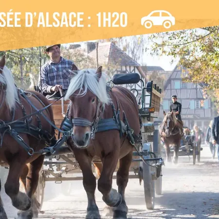 Lit Rond Tres Grand Et Confortable - Garage Possible Ou Parking Gratuit Rue - Gare 2 Min Et 4 Min En Tram - Ciel Etoile - Netflix Videoprojecteur - Luxe Et Evasion