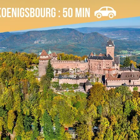 Lit Rond Tres Grand Et Confortable - Garage Possible Ou Parking Gratuit Rue - Gare 2 Min Et 4 Min En Tram - Ciel Etoile - Netflix Videoprojecteur - Luxe Et Evasion Appartement Strasbourg