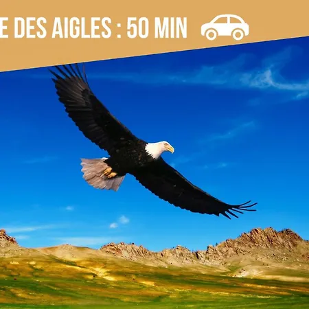 Lit Rond Tres Grand Et Confortable - Garage Possible Ou Parking Gratuit Rue - Gare 2 Min Et 4 Min En Tram - Ciel Etoile - Netflix Videoprojecteur - Luxe Et Evasion *