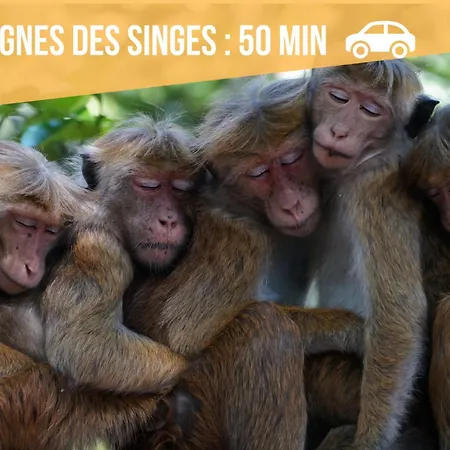 Lit Rond Tres Grand Et Confortable - Garage Possible Ou Parking Gratuit Rue - Gare 2 Min Et 4 Min En Tram - Ciel Etoile - Netflix Videoprojecteur - Luxe Et Evasion Appartement